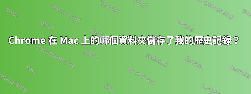 Chrome 在 Mac 上的哪個資料夾儲存了我的歷史記錄？