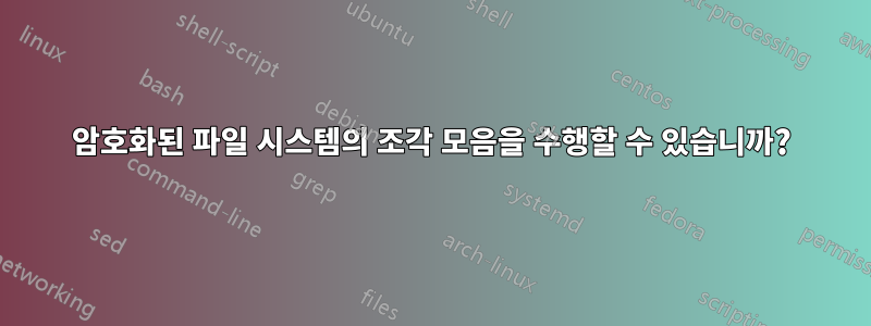 암호화된 파일 시스템의 조각 모음을 수행할 수 있습니까?