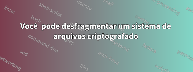 Você pode desfragmentar um sistema de arquivos criptografado