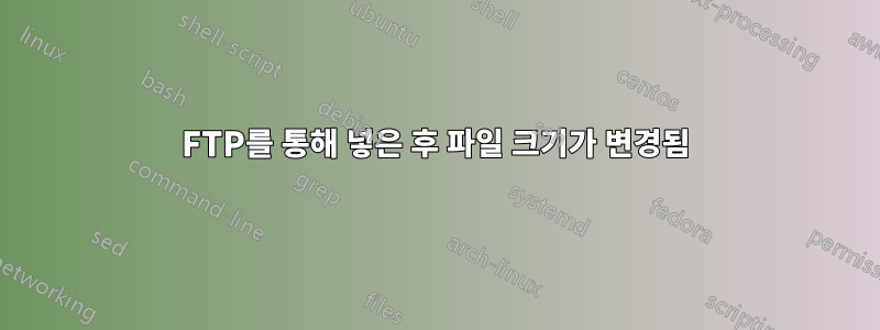 FTP를 통해 넣은 후 파일 크기가 변경됨