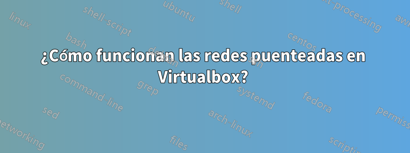 ¿Cómo funcionan las redes puenteadas en Virtualbox?