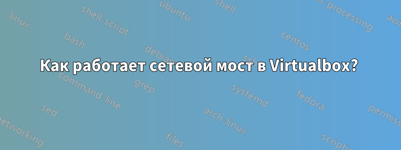 Как работает сетевой мост в Virtualbox?