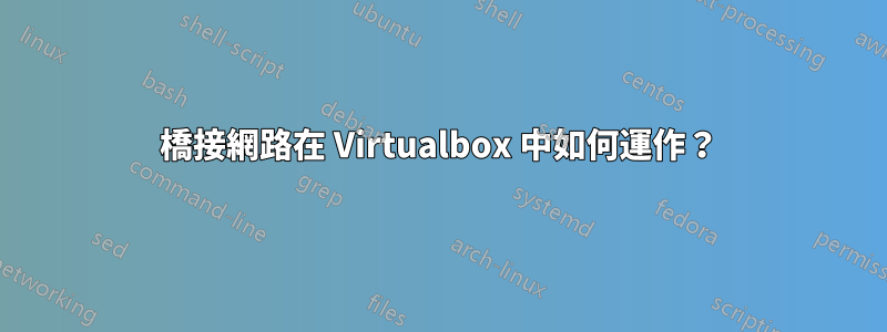 橋接網路在 Virtualbox 中如何運作？
