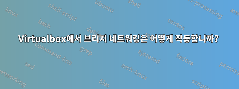 Virtualbox에서 브리지 네트워킹은 어떻게 작동합니까?