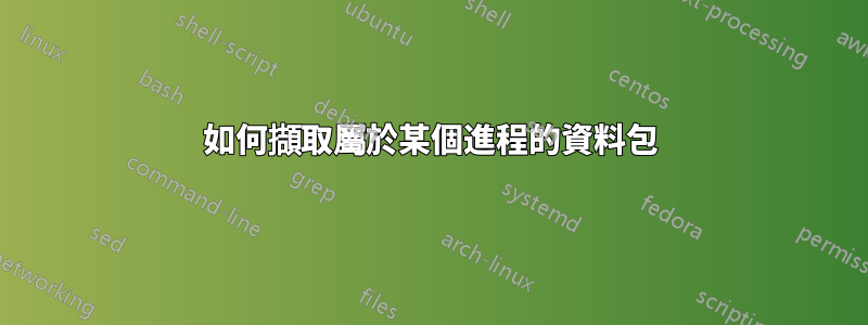 如何擷取屬於某個進程的資料包