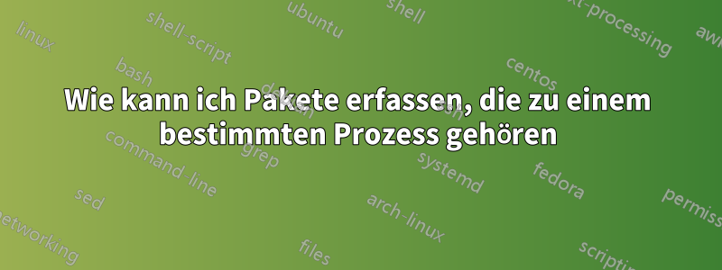 Wie kann ich Pakete erfassen, die zu einem bestimmten Prozess gehören