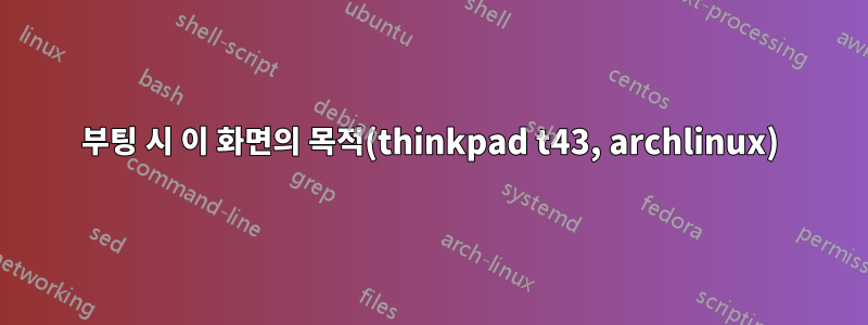부팅 시 이 화면의 목적(thinkpad t43, archlinux)