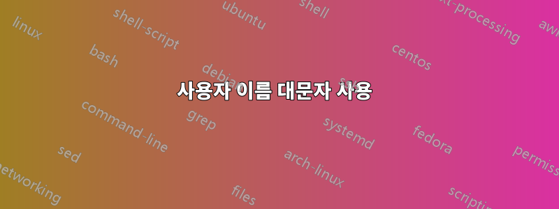 사용자 이름 대문자 사용 