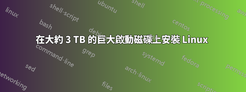 在大約 3 TB 的巨大啟動磁碟上安裝 Linux