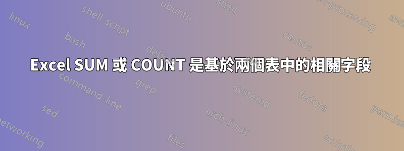 Excel SUM 或 COUNT 是基於兩個表中的相關字段