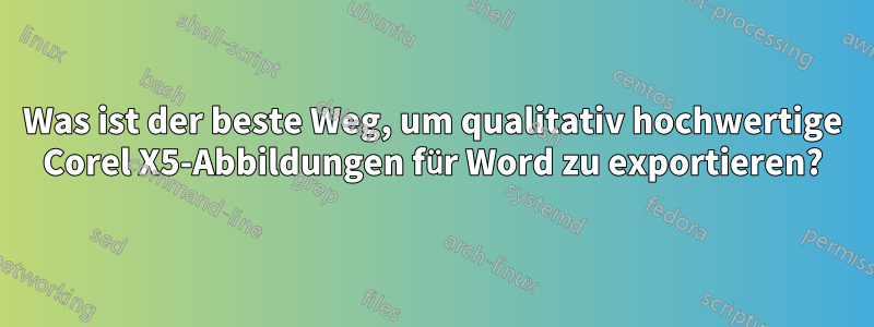 Was ist der beste Weg, um qualitativ hochwertige Corel X5-Abbildungen für Word zu exportieren?