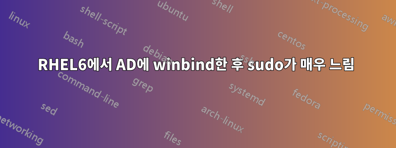 RHEL6에서 AD에 winbind한 후 sudo가 매우 느림