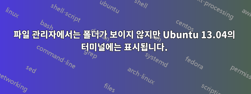 파일 관리자에서는 폴더가 보이지 않지만 Ubuntu 13.04의 터미널에는 표시됩니다.