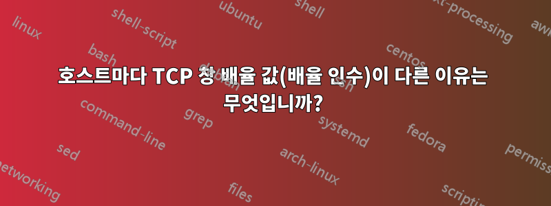 호스트마다 TCP 창 배율 값(배율 인수)이 다른 이유는 무엇입니까?