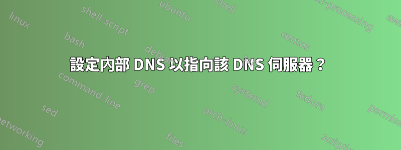 設定內部 DNS 以指向該 DNS 伺服器？