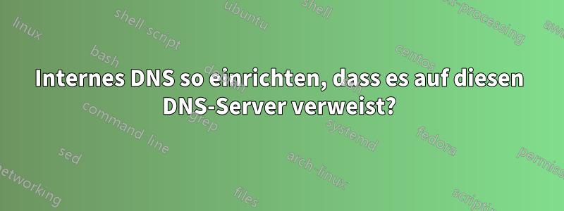 Internes DNS so einrichten, dass es auf diesen DNS-Server verweist?