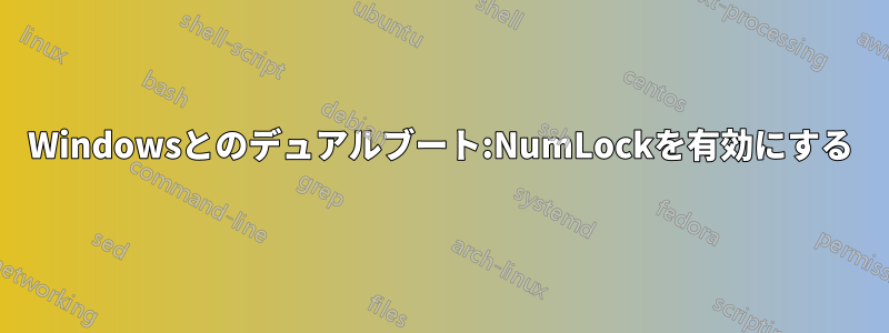 Windowsとのデュアルブート:NumLockを有効にする