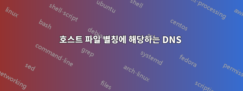 호스트 파일 별칭에 해당하는 DNS