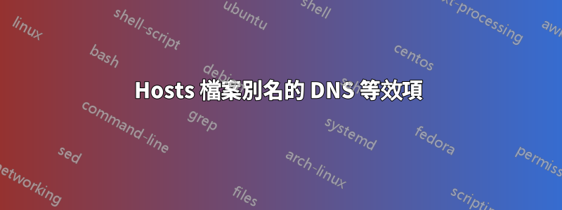 Hosts 檔案別名的 DNS 等效項