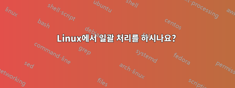 Linux에서 일괄 처리를 하시나요?