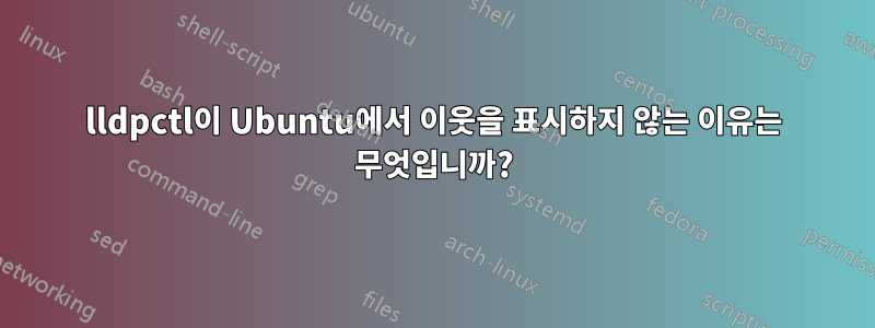 lldpctl이 Ubuntu에서 이웃을 표시하지 않는 이유는 무엇입니까?