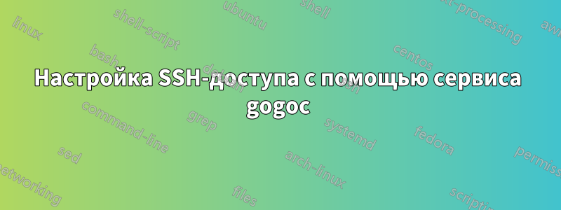 Настройка SSH-доступа с помощью сервиса gogoc