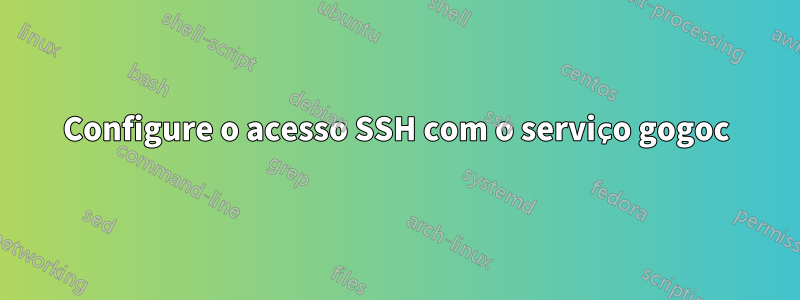 Configure o acesso SSH com o serviço gogoc