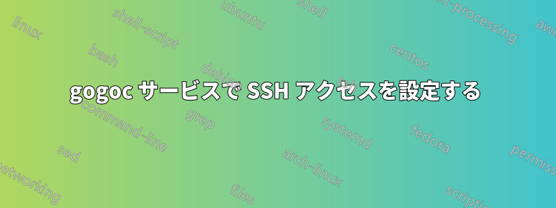 gogoc サービスで SSH アクセスを設定する