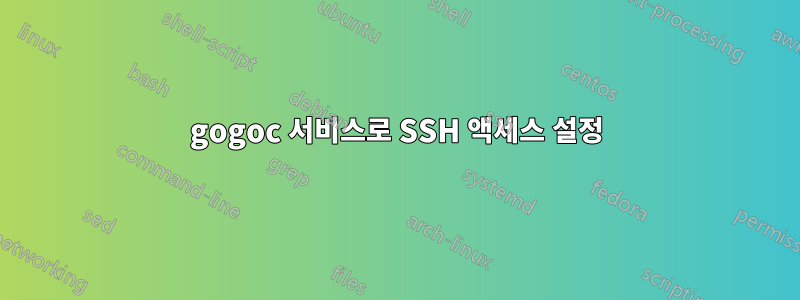 gogoc 서비스로 SSH 액세스 설정