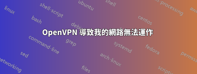 OpenVPN 導致我的網路無法運作