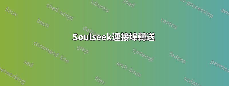 Soulseek連接埠轉送