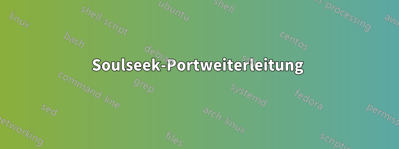 Soulseek-Portweiterleitung