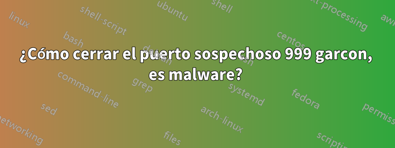 ¿Cómo cerrar el puerto sospechoso 999 garcon, es malware?