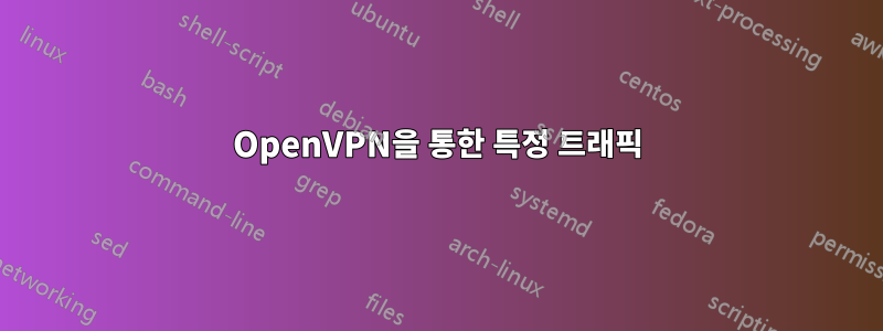 OpenVPN을 통한 특정 트래픽