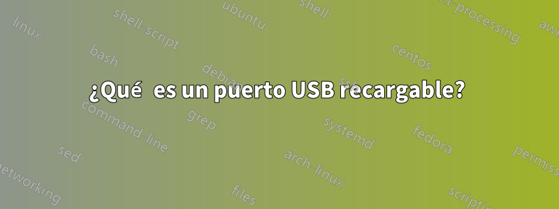 ¿Qué es un puerto USB recargable?