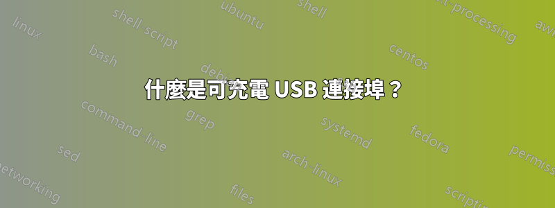 什麼是可充電 USB 連接埠？