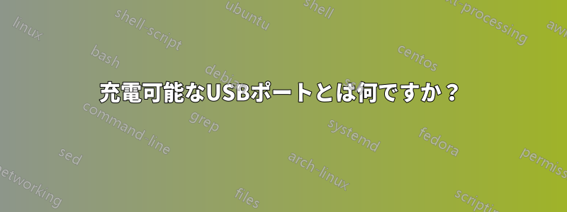 充電可能なUSBポートとは何ですか？