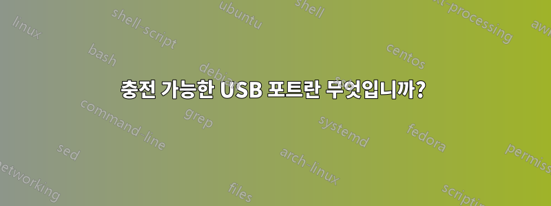 충전 가능한 USB 포트란 무엇입니까?