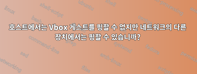 호스트에서는 Vbox 게스트를 핑할 수 없지만 네트워크의 다른 장치에서는 핑할 수 있습니까?