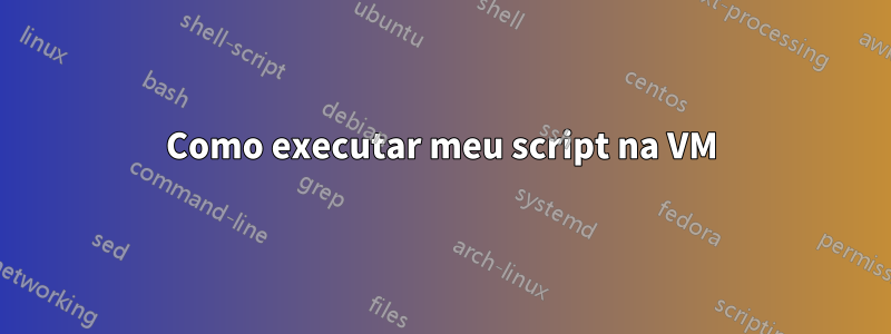 Como executar meu script na VM