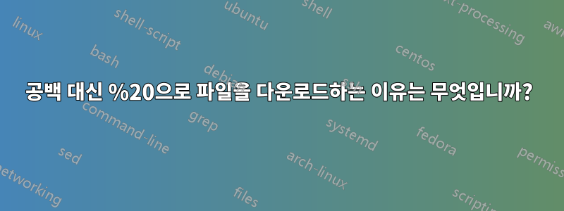 공백 대신 %20으로 파일을 다운로드하는 이유는 무엇입니까?