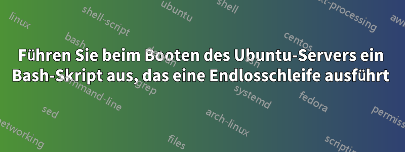 Führen Sie beim Booten des Ubuntu-Servers ein Bash-Skript aus, das eine Endlosschleife ausführt