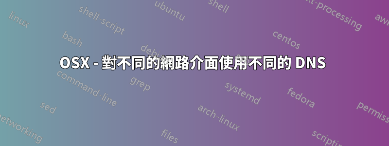 OSX - 對不同的網路介面使用不同的 DNS