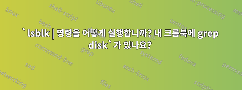 `lsblk | 명령을 어떻게 실행합니까? 내 크롬북에 grep disk`가 있나요?