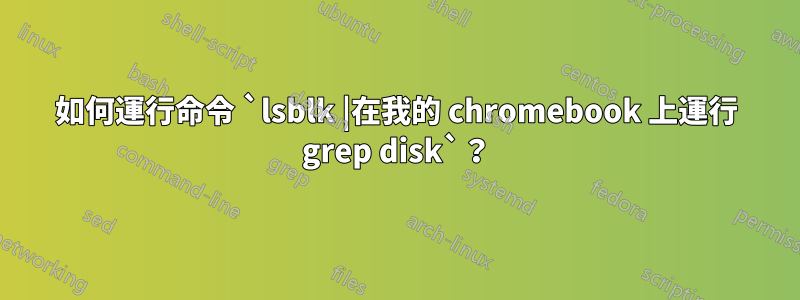 如何運行命令 `lsblk |在我的 chromebook 上運行 grep disk`？