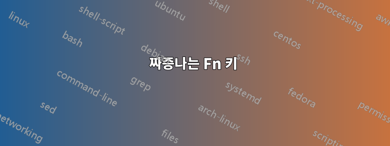 짜증나는 Fn 키