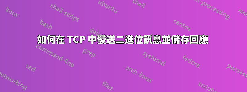 如何在 TCP 中發送二進位訊息並儲存回應