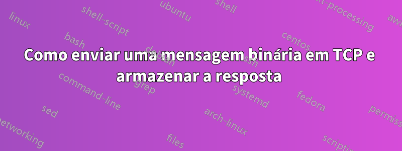 Como enviar uma mensagem binária em TCP e armazenar a resposta