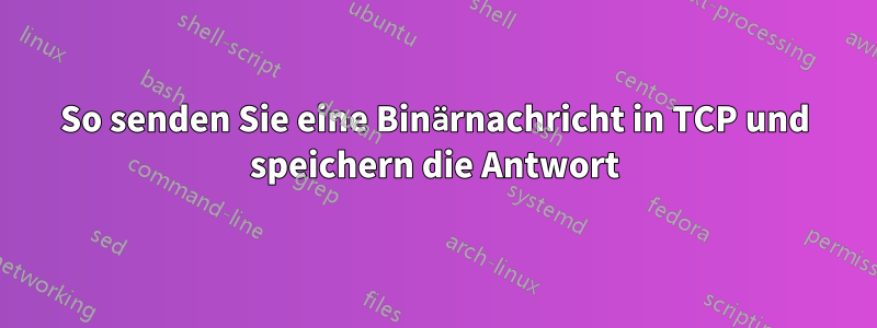 So senden Sie eine Binärnachricht in TCP und speichern die Antwort