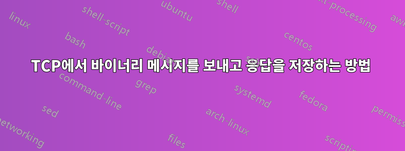 TCP에서 바이너리 메시지를 보내고 응답을 저장하는 방법